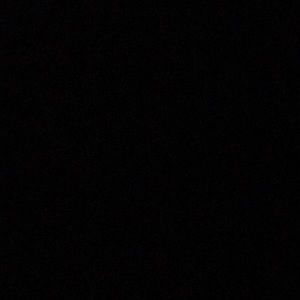 Meet your Posher, Dylan